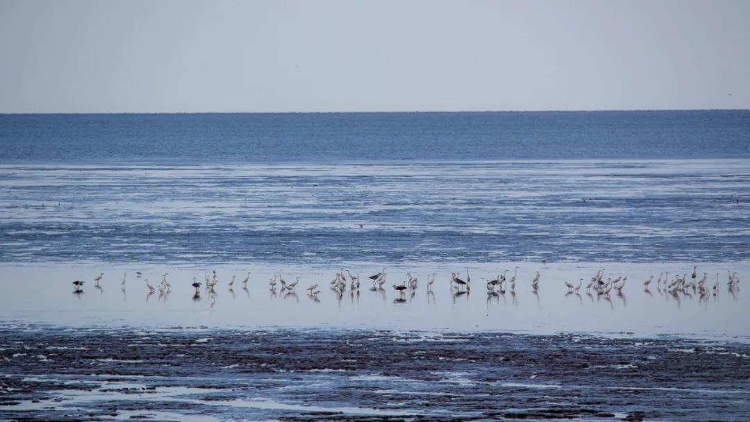 4 4