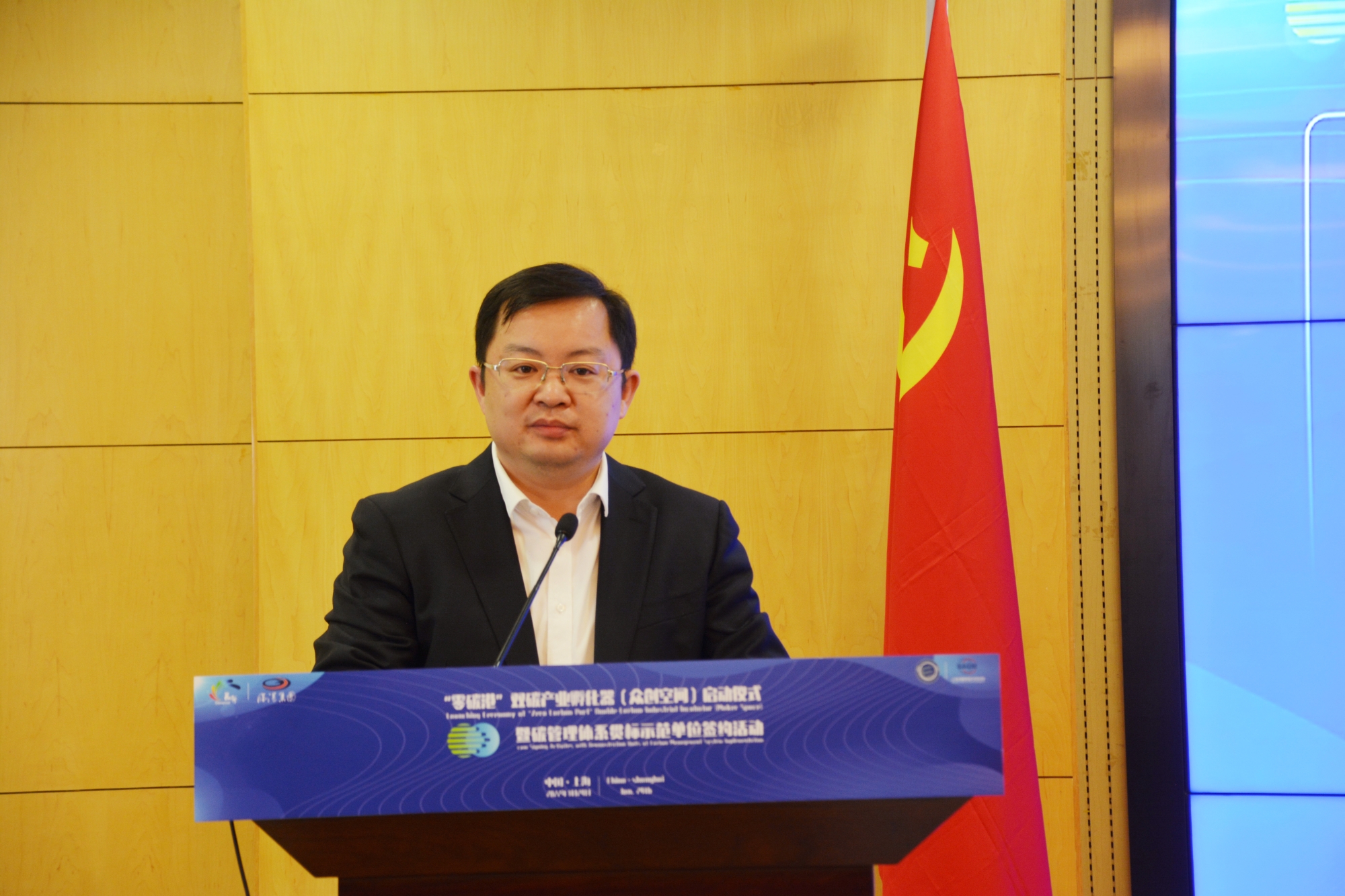 临港集团党委委员、副总裁刘伟 临港集团党委委员、副总裁刘伟