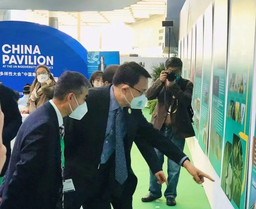 微信图片_20221215211834 微信图片_20221215211834