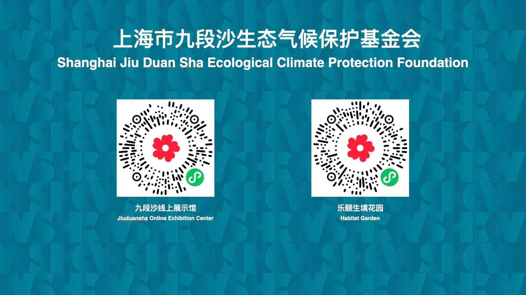 图片3 图片3