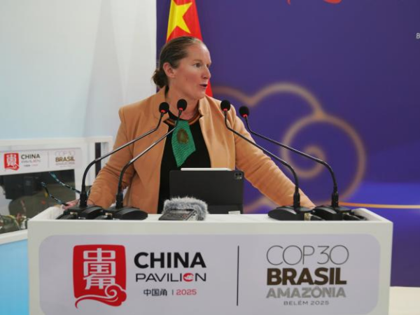 图片7 图片7
