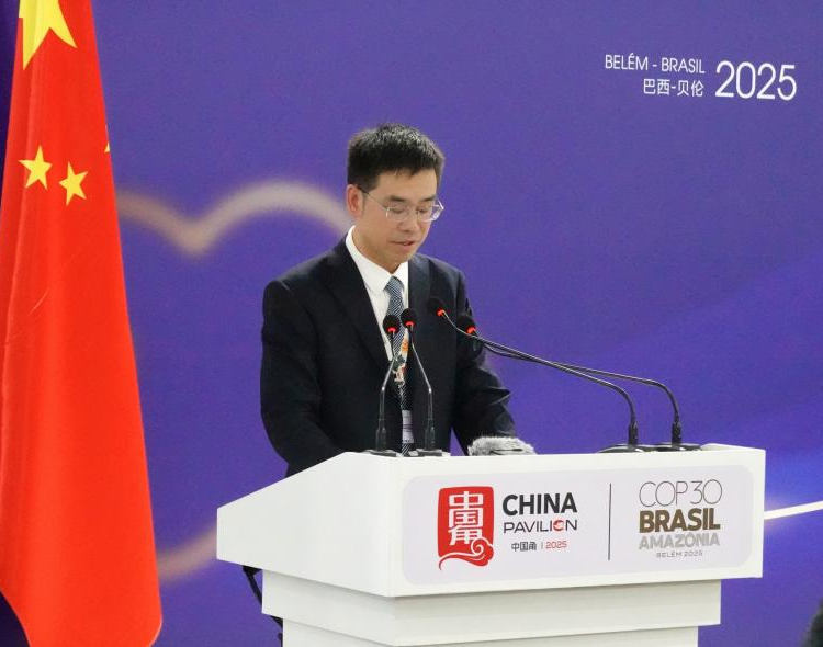 图片13 图片13